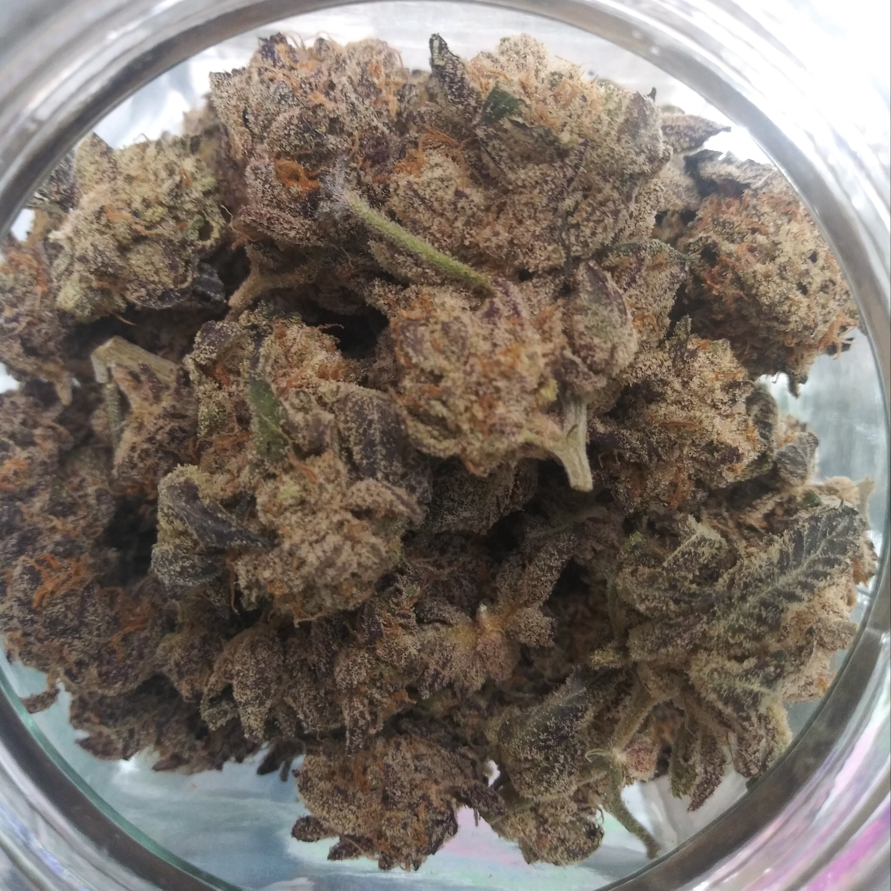 Purple Jolly Rancher
